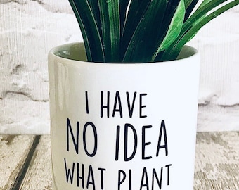 Plant pot, planter, cactus pot, Rude gift, gift for women, funny plant pot, gift for her, friend birthday gift, swear, funny gift for friend