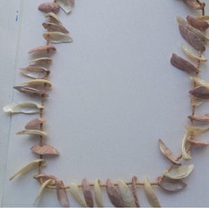 May include: A necklace made of natural seashells in shades of cream, pink, and tan. The shells are strung together on a thin, light brown cord. The necklace is displayed against a plain white background.