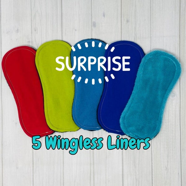 Cloth Pad Liners Set, Cloth Wingless Panty Liners, Cloth Pantyliners, Reusable Liners, Washable Panty Liner, Surprise 5 Pack, Incontinence