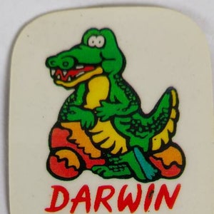 Crocodile, Darwin Northern Territory, Fridge magnet vintage, Darwin souvenir, Aussie magnet, Darwin NT fridge magnet, retro fridge magnet