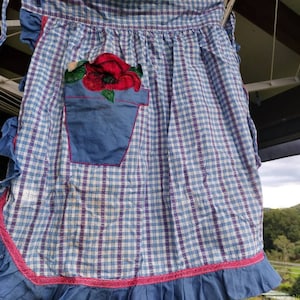 Sweet little apron retro, small apron, blue check apron, frilled apron, red flower apron, vintage apron, ladies apron, baking apron, tiny