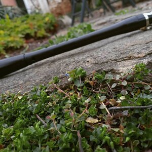 May include: A black wooden flute lying on a grey stone surface with green plants growing around it.