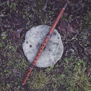 Puede incluir: Una flauta de madera con un acabado marrón oscuro y detalles plateados. La flauta está apoyada sobre una piedra gris con textura rugosa. La flauta está rodeada de hierba verde y hojas marrones.