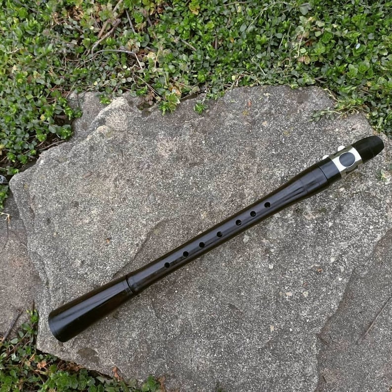 May include: A black wooden clarinet with a silver mouthpiece and six finger holes.