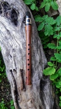 Santos Rosewood Chalumeau in  D product logo