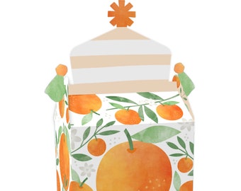 Little Clementine - Treat Box Party Favors - Orange Citrus Baby Shower or Birthday Party Goodie Gable Boxes - Set of 12