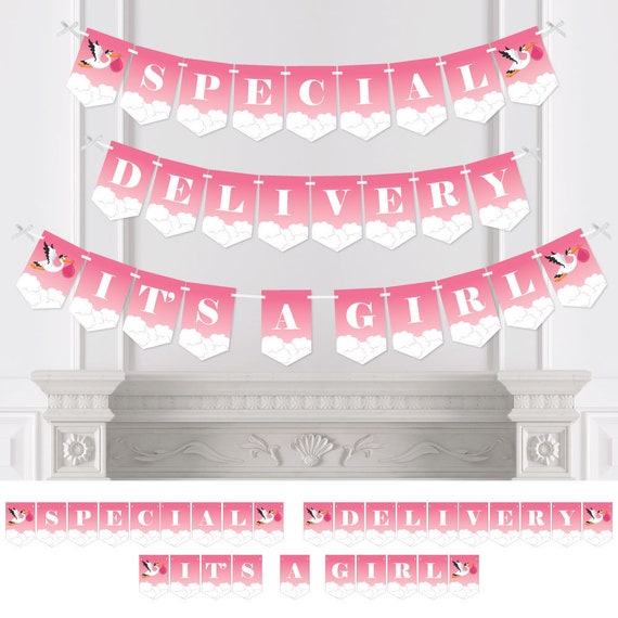Girl Special Delivery - Pink It's A Girl Stork Baby Shower Bunting Banner - Party Decorations - Special Delivery It's A Girl Il_570xn