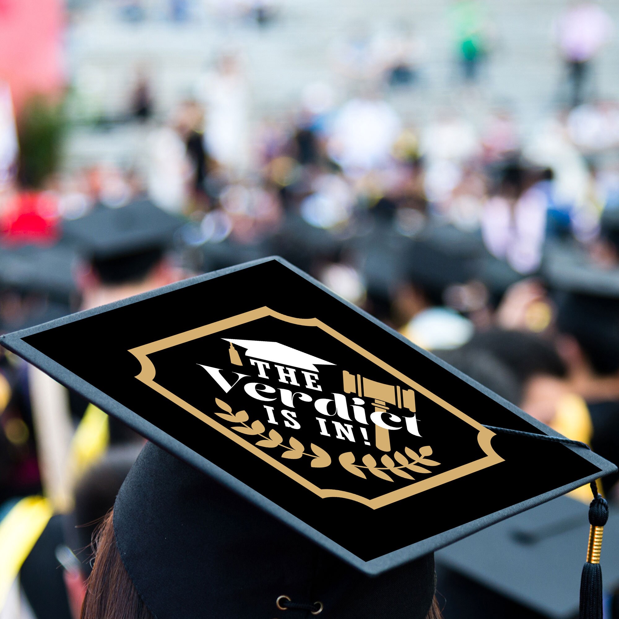 Law School Grad Future Lawyer 