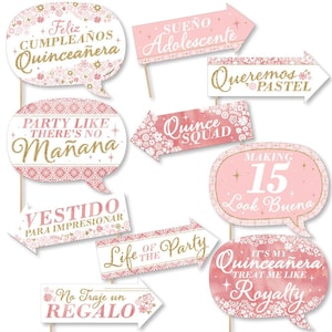 Funny Mis Quince Anos Birthday Party Photo Booth Props - Quinceanera Sweet 15 Photo Booth Prop Kit - 15th Birthday Selfie Photo Prop - 10 pc
