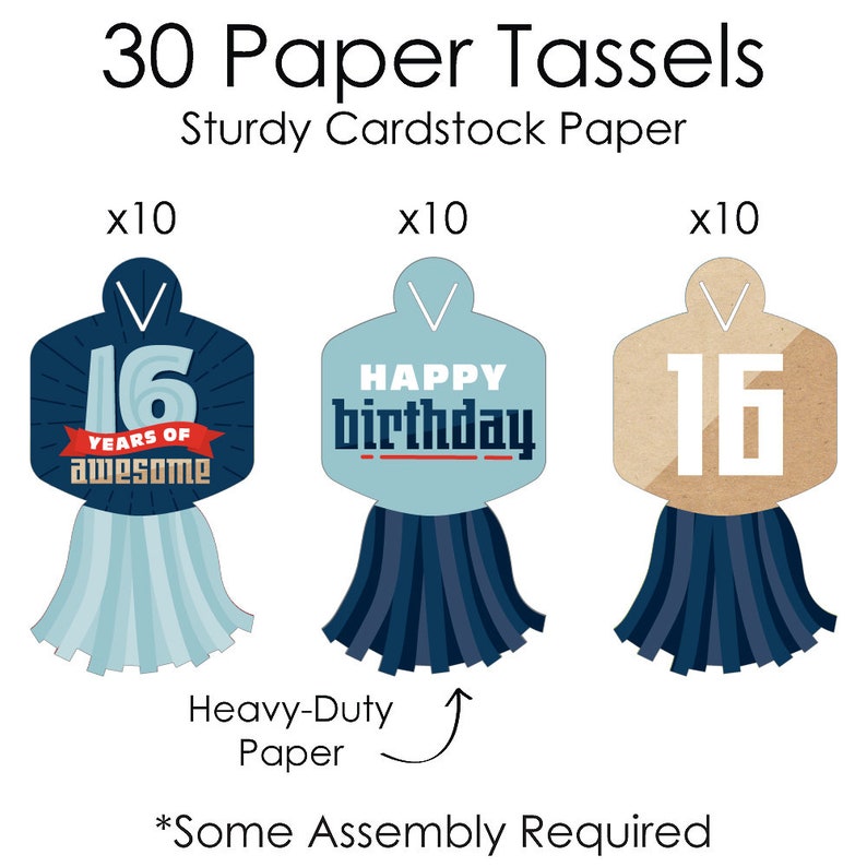 21 feet 90 Chain Links and 30 Paper Tassels Decoration Kit Boy 16th Birthday Sweet Sixteen Birthday Party Paper Chains Garland