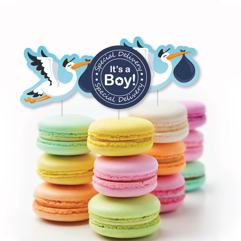 Stork Shaped Cut-Outs and Picks 24 Ct Dessert Cupcake Toppers Boy Stork Baby Shower Clear Treat Picks Boy Special Delivery