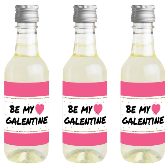 Be My Galentine - Mini Wine and Champagne Bottle Label Stickers - Galentine’s & Valentine’s Day Favor Gift for Women and Men - Set of 16 Il_570xn