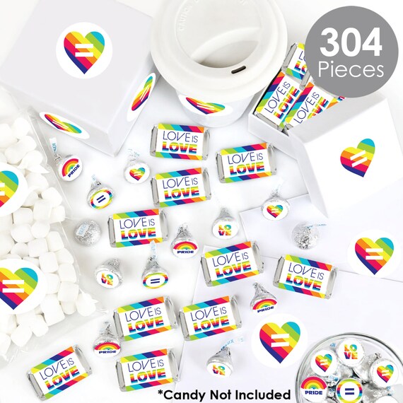 Big Dot of Happiness - Medical School Grad - Mini Candy Bar Wrappers, Round Candy Stickers and Circle Stickers - Doctor Graduation Party Candy Favor Sticker Kit - 304 Pieces