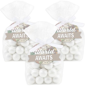 Winter Wonderland - Snowflake Holiday Party and Winter Wedding Clear Goodie  Favor Bags - Treat Bags With Tags - Set of 12