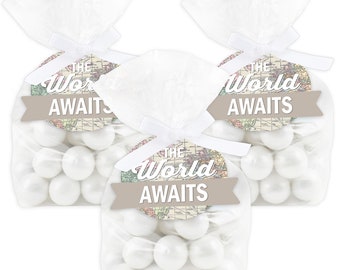 World Awaits - Travel Themed Party Clear Goodie Favor Bags - Treat Bags With Tags - Set of 12