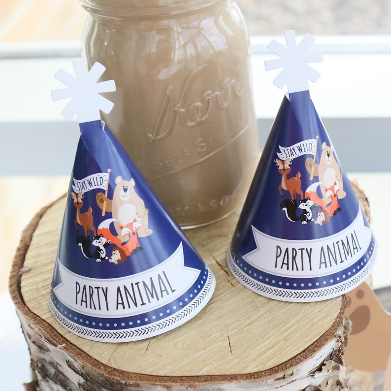 Stay Wild Small Little Woodland Birthday Party Hats Forest Animals Baby Shower Mini Hats 10 Ct Personalized Mini Cone Party Hats