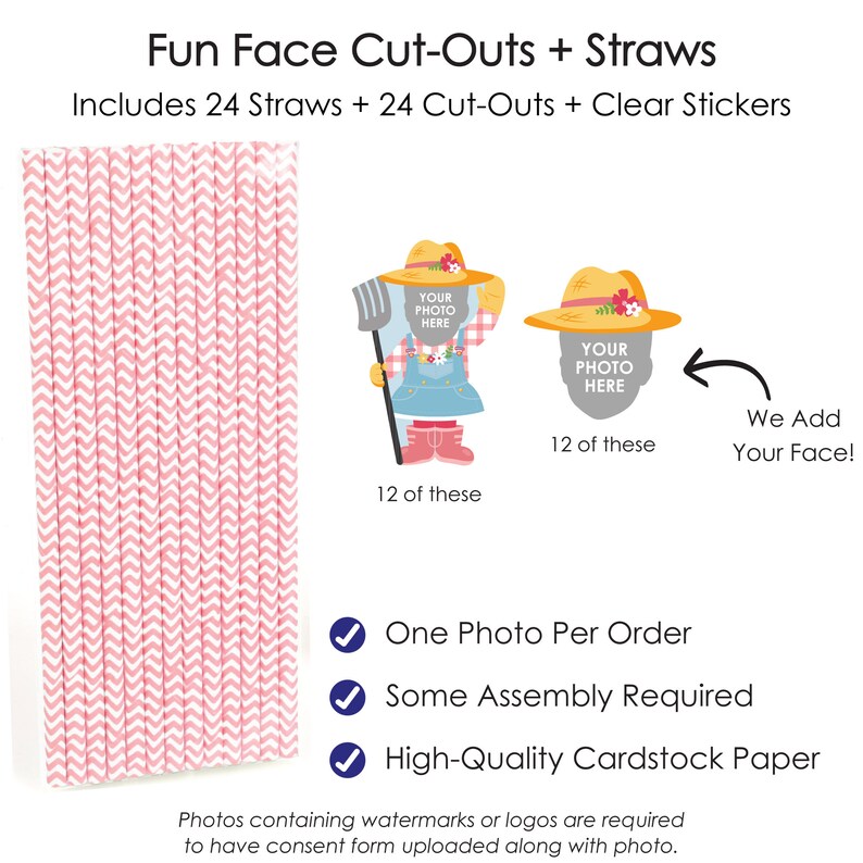 Custom Photo Girl Farm Animals Fun Face Paper Straw Decor Set of 24 image 3