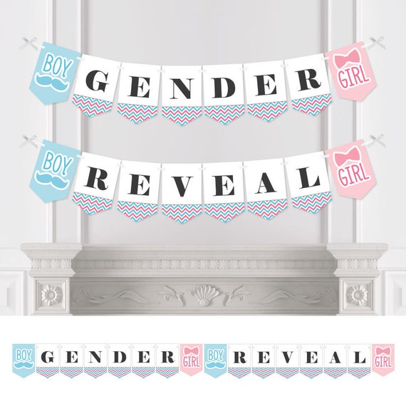 Chevron Gender Reveal - Gender Reveal Bunting Banner - Party Decorations - Gender Reveal Il_570xn