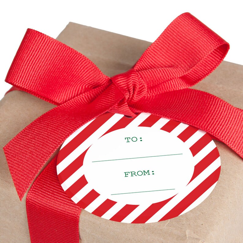 From Santa Claus Christmas Favor Gift Tags Set of 20 Santa/'s Special Delivery