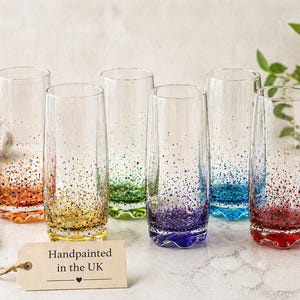 Hand Painted Tactile Coloured Hiball Glass Tumbler