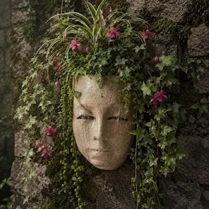 May include: A beige, mask-shaped planter with a serene face, set against a stone wall. The planter is filled with greenery, including ivy, pink flowers, and trailing plants, creating a natural, artistic display.