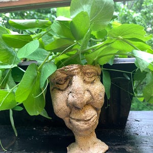Ceramic Handbuilt PotHead Planter