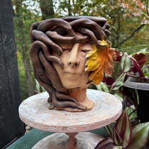 May include: A ceramic planter shaped like a human head with closed eyes and a neutral expression. The hair is depicted as dark brown, textured, intertwined roots or vines, with a single prominent yellow and orange autumn leaf on one side.
