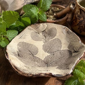 Lemon Balm Imprinted Pottery - 9” salad or pasta Plate