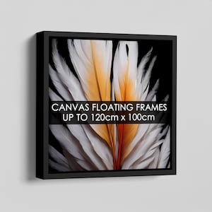 May include: A square canvas print in a black floating frame featuring white and orange feathers against a black background. A horizontal black banner across the centre displays the white text: CANVAS FLOATING FRAMES UP TO 120cm x 100cm.