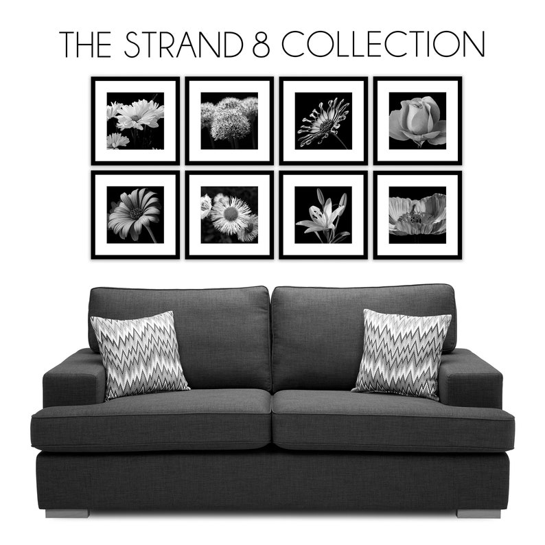 Gallery Wall Frame Set Photo Frame Set of 8 Square Picture Etsy