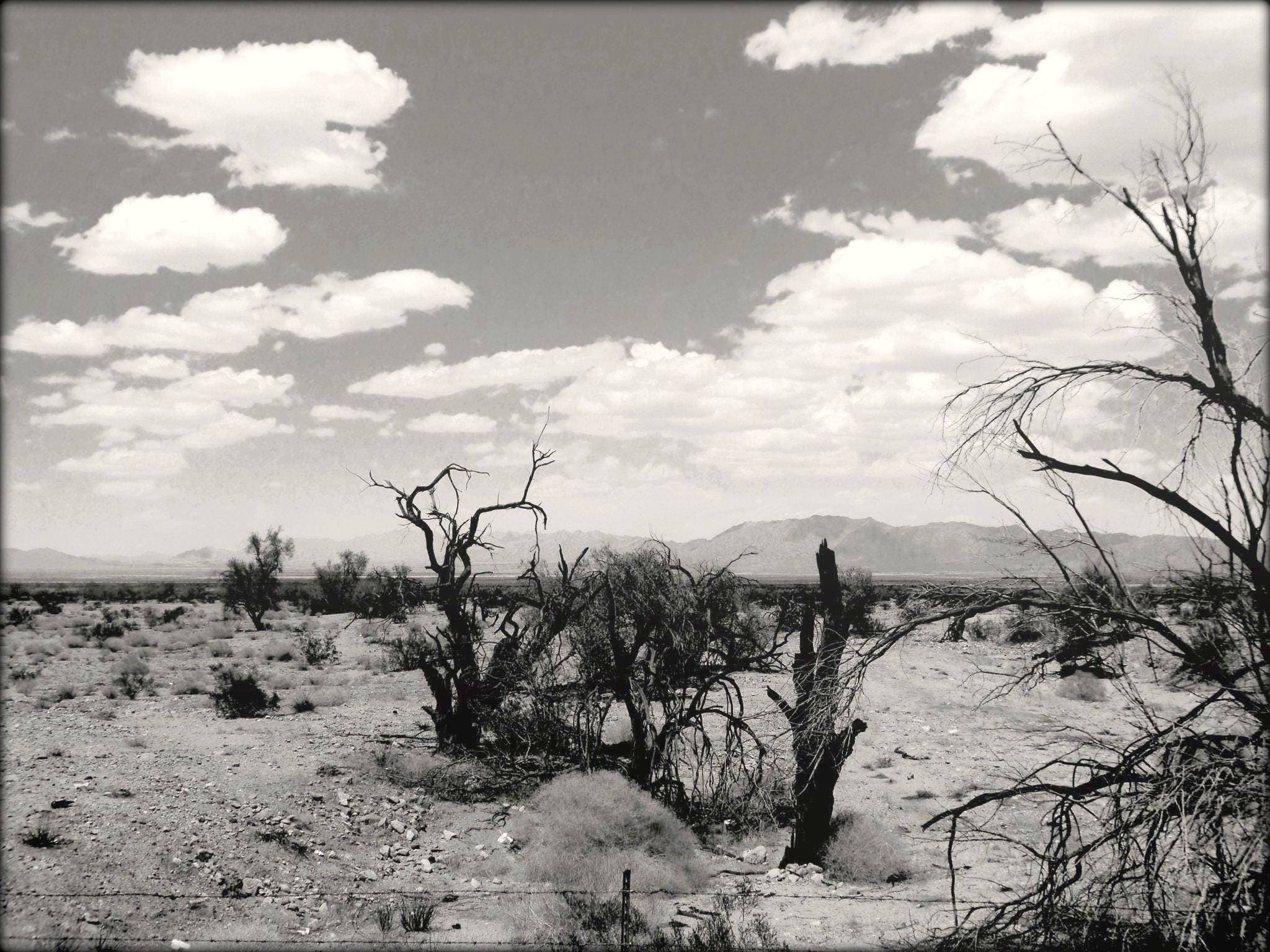 From Out of The Fire Yucca Valley CA Limited Edition Etsy