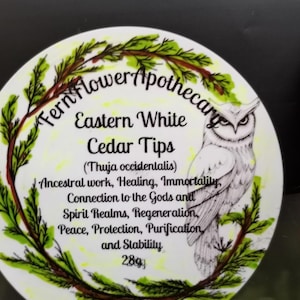 Cedar Leaf Tips (Eastern White), Thuja occidentalis, Aborvitae, 28g