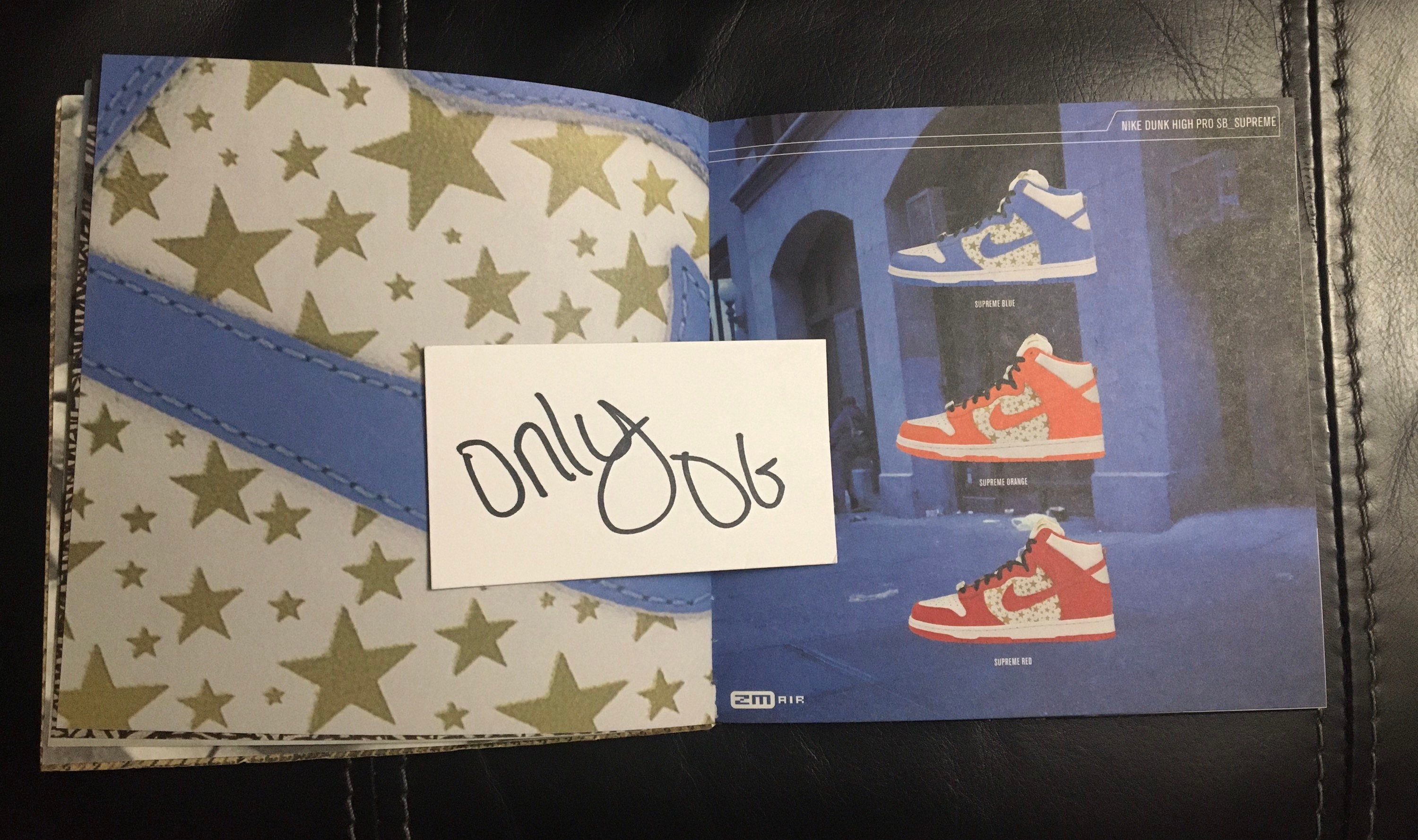 Nike Sb Sneakers Only Collectable Book -