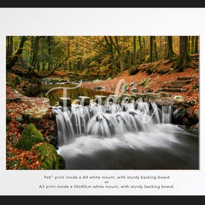 Tollymore Stepping Stones, Tollymore Forest, Northern Ireland (Fine Art Print - various sizes).
