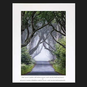 The Dark Hedges, Armoy, Irlande du Nord (Fine Art Print - différentes tailles).