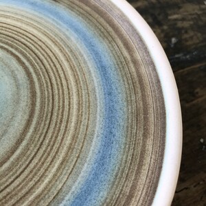 May include: A ceramic plate with a blue and brown concentric circle design. The plate has a white rim.