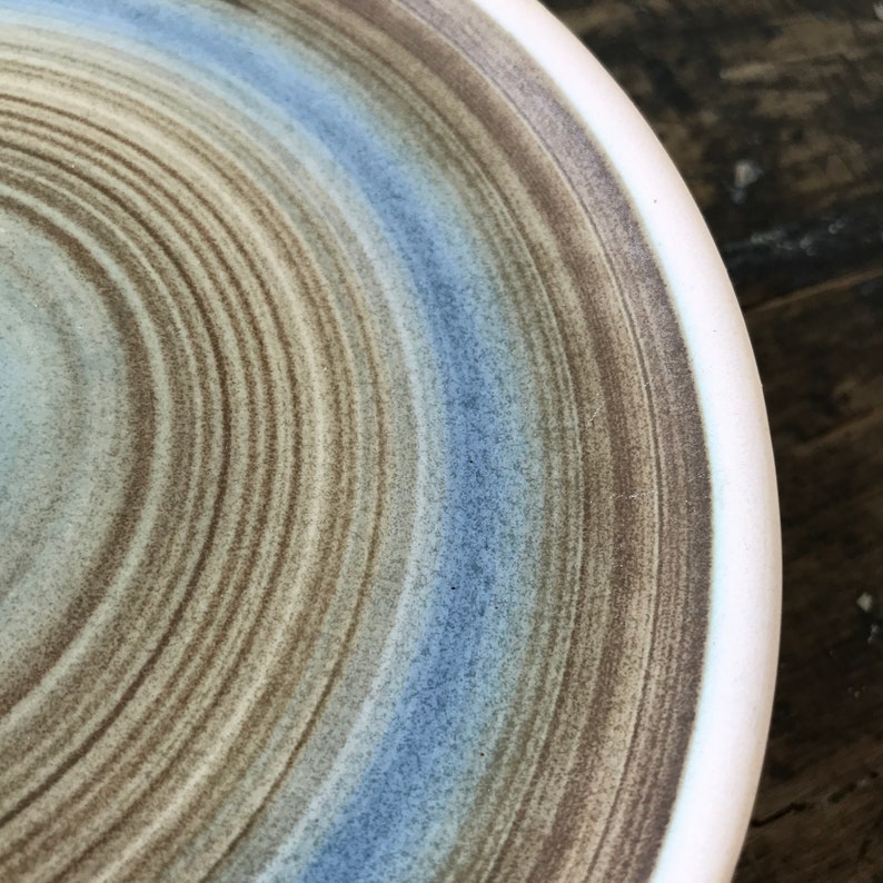May include: A ceramic plate with a blue and brown concentric circle design. The plate has a white rim.
