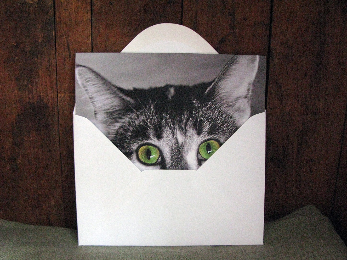 She Only Has Eyes for You - Cat Greeting Card - Cat With Green Eyes ...