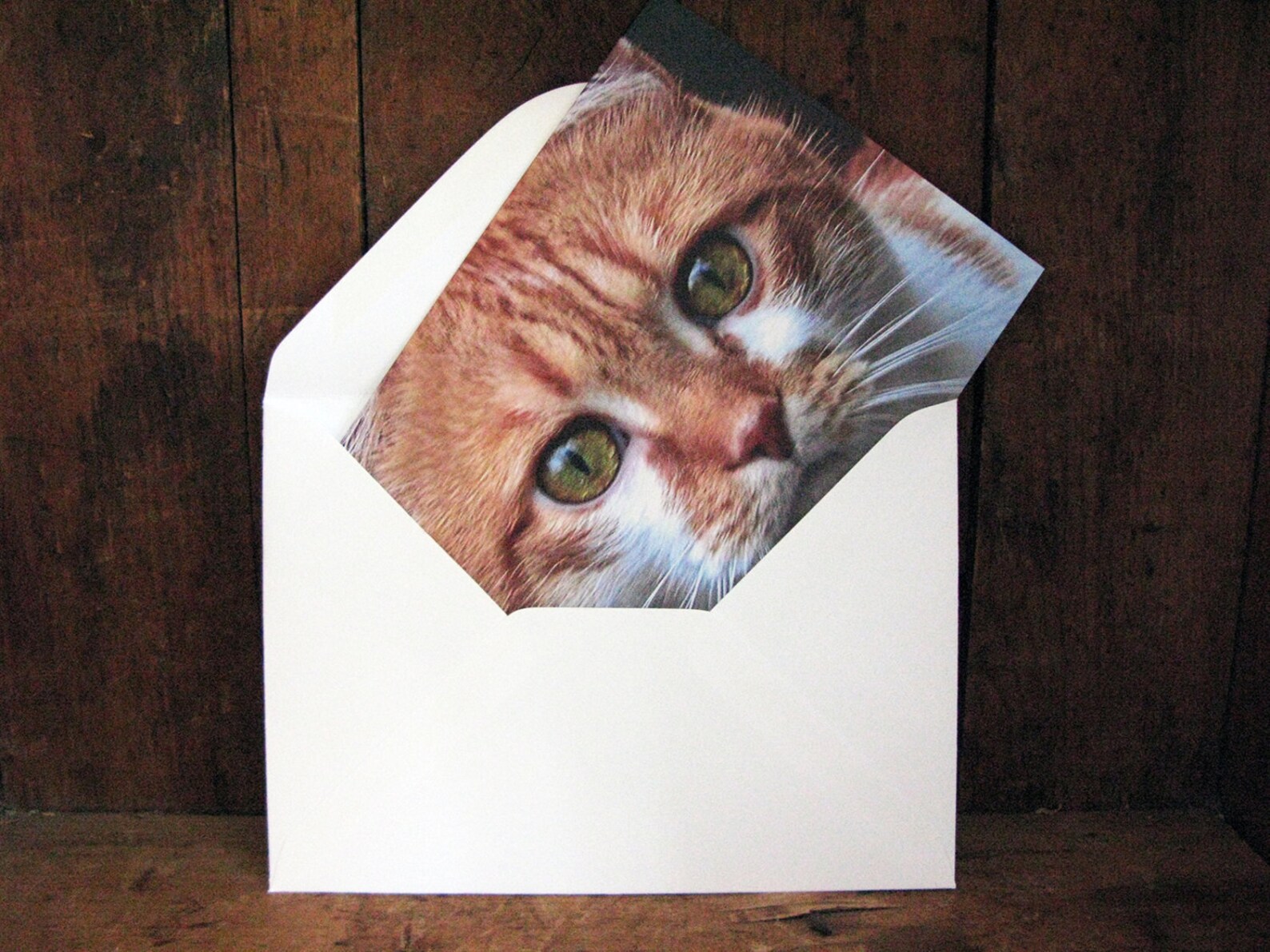 Cat's Eyes - Cat Lover's Card - Cat Greeting Card - Cat Portrait - Cat ...
