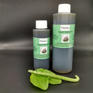 Plantain Oil Double-Infused Organic Handmade in small batches Vegan Plantago major Wildcrafted Bumbling Acres Farm image 1