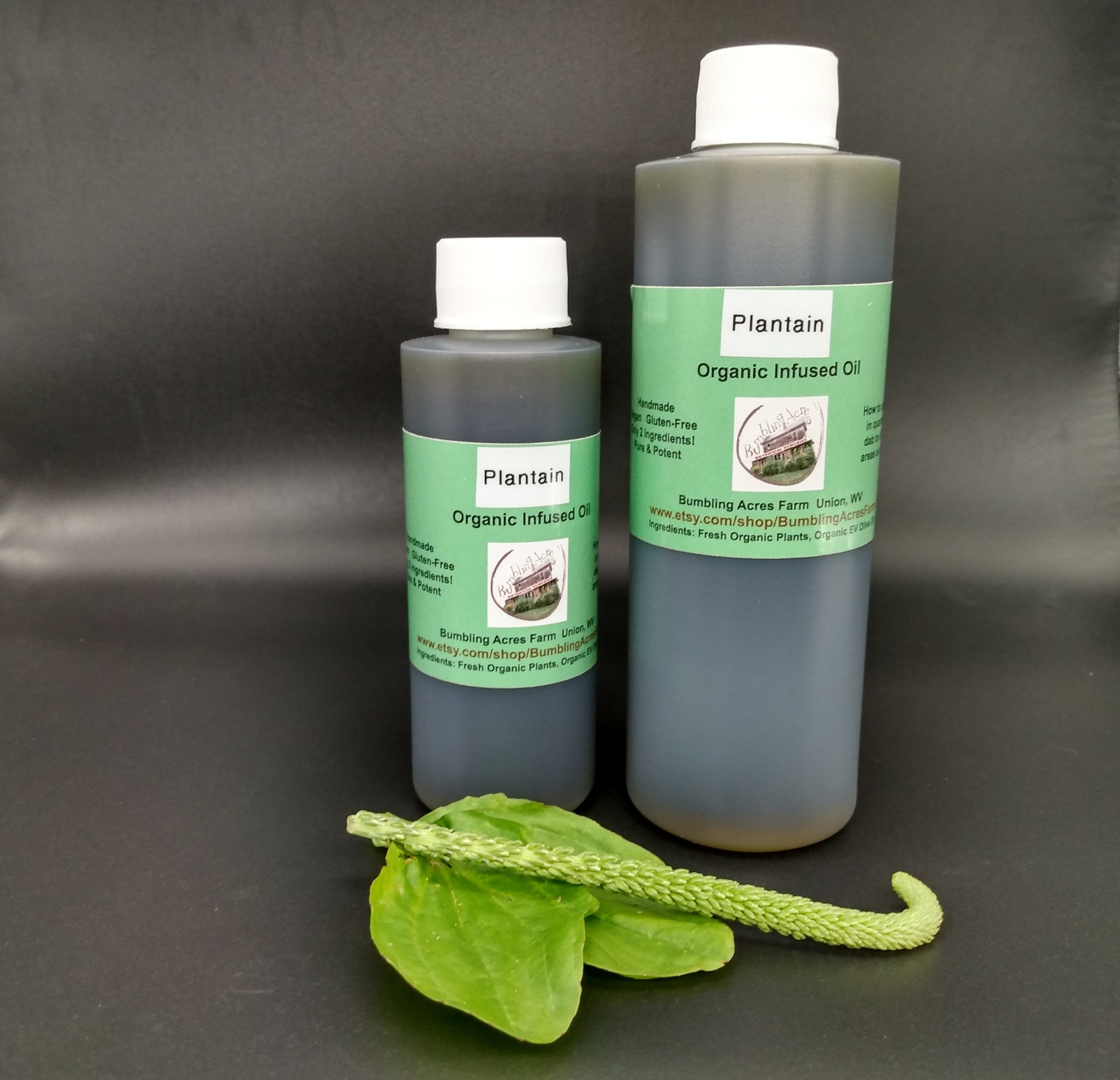 Plantain Oil Double-Infused Organic Handmade in small batches Vegan Plantago major Bumbling Acres Farm