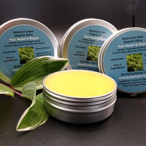 Solomon's Seal Root Salve Double Infused Potent No additives Organic Handmade From Fresh Roots Screw On Lid Gluten Free Bumbling Acres Farm