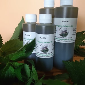 Nettle Double-Infused Oil For Best Concentration Organic Handmade in small batches Vegan Gluten-Free Urtica dioica Bumbling Acres Farm