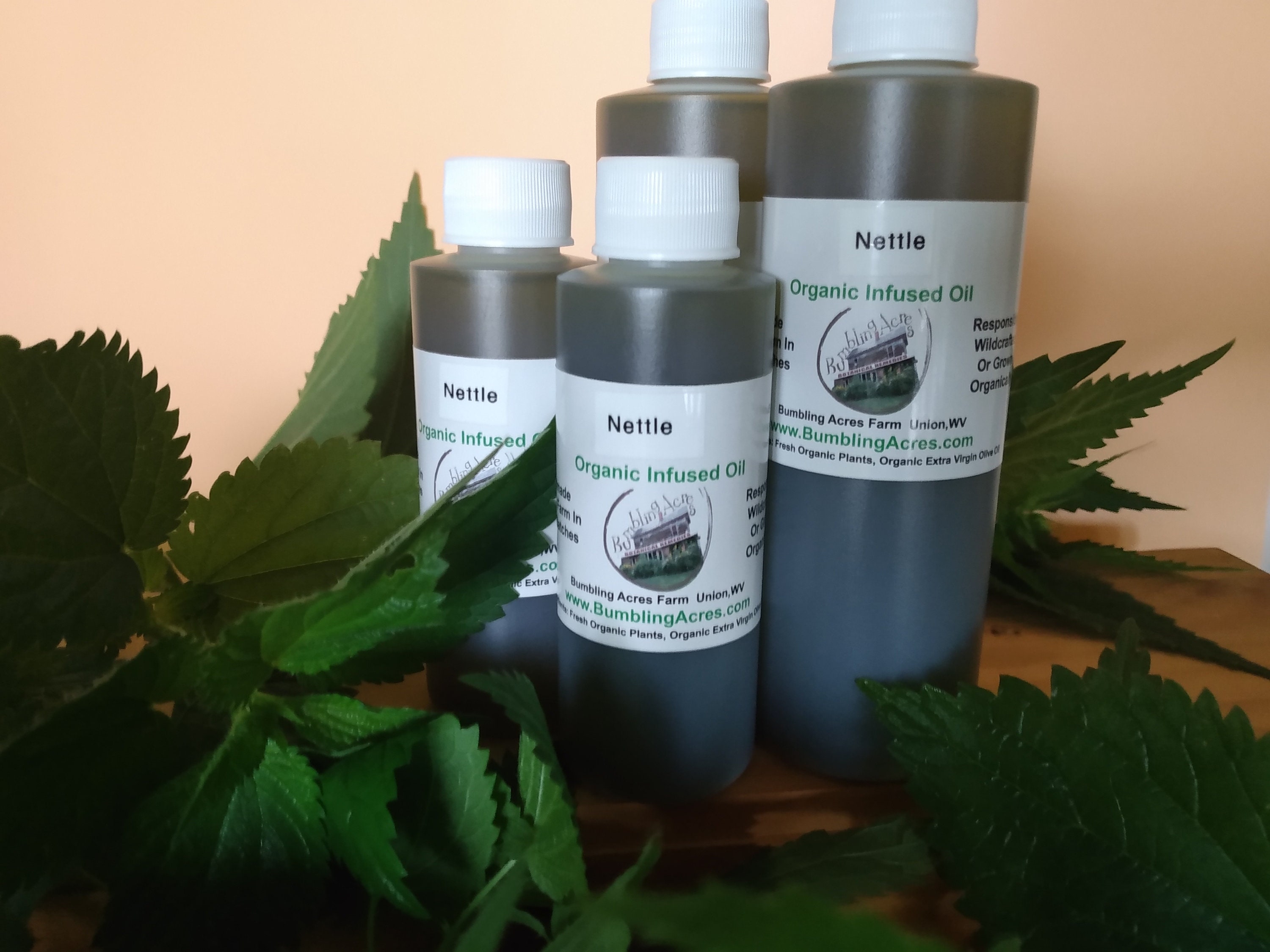 Nettle Double-Infused Oil For Best Concentration Organic Handmade in small batches Vegan Gluten-Free Urtica dioica Bumbling Acres Farm