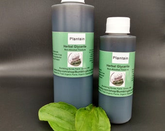 Plantain Glycerite NonAlcohol tincture Double-Infused Organic Handmade in small batches Vegan Gluten Free Plantago major Bumbling Acres Farm