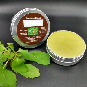 Jewelweed Salve Organic Double Infused POTENT Made from fresh plant Handmade in small batches Wildcrafted Screw Top Lids Bumbling Acres Farm