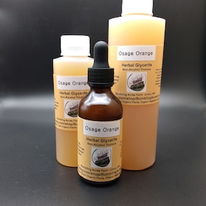Osage Orange Glycerite NonAlcohol Tincture Double Infused Maclura Pomifera Hedge Apple Organic Handmade Pure and Potent Bumbling Acres Farm