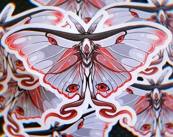 Luna Moth Omen | Vinyl Sticker