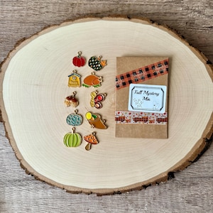 Fall Thanksgiving MYSTERY Mix Knitting / Crochet Stitch Markers -set of 10