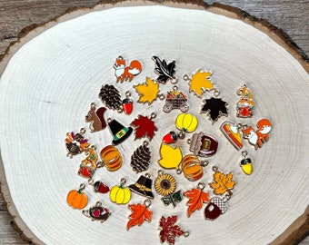 Fall Thanksgiving MYSTERY Mix Knitting / Crochet Stitch Markers -set of 10